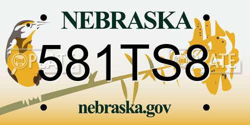 581TS8 Nebraska License Plate