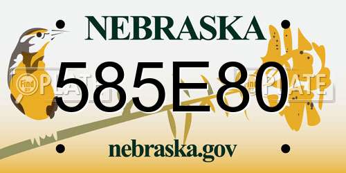 585E80 Nebraska License Plate
