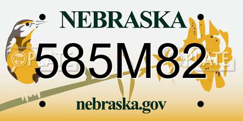 585M82 Nebraska License Plate