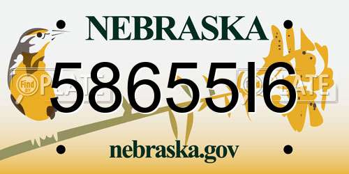 58655I6 Nebraska License Plate
