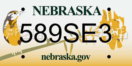 589SE3 Nebraska License Plate