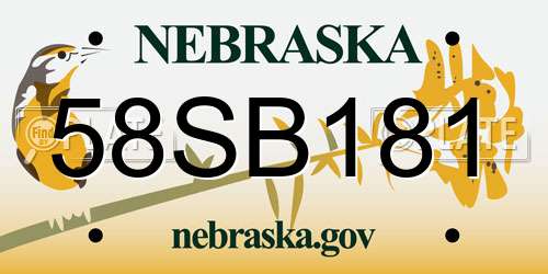 58SB181 Nebraska License Plate
