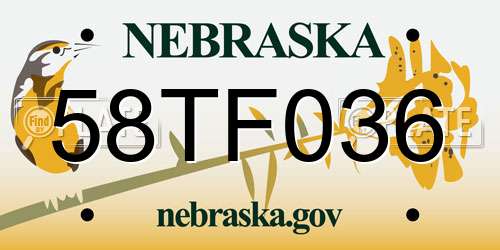 58TF036 Nebraska License Plate
