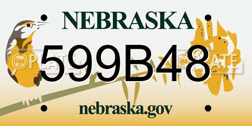 599B48 Nebraska License Plate