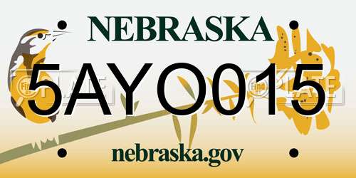5AYO015 Nebraska License Plate