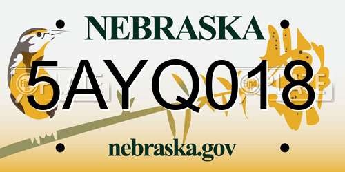 5AYQ018 Nebraska License Plate