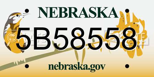 5B58558 Nebraska License Plate