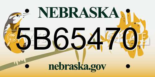 5B65470 Nebraska License Plate