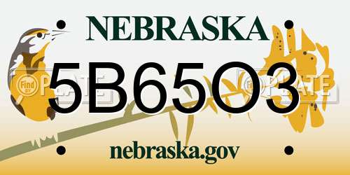 5B65O3 Nebraska License Plate