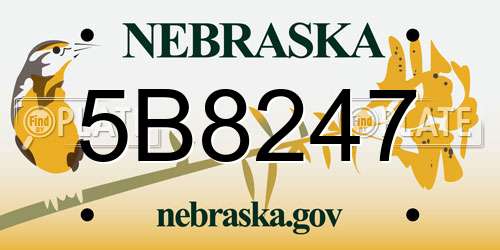 5B8247 Nebraska License Plate