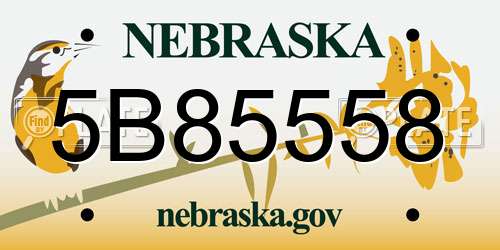 5B85558 Nebraska License Plate