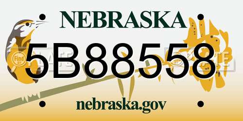 5B88558 Nebraska License Plate