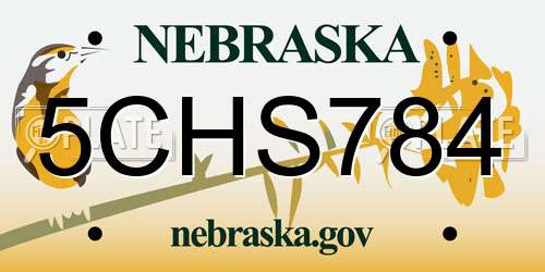 5CHS784 Nebraska License Plate