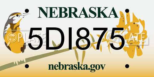 5DI875 Nebraska License Plate