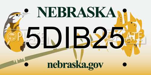 5DIB25 Nebraska License Plate