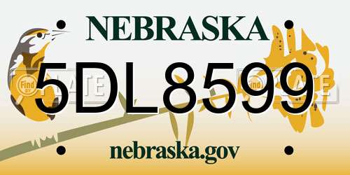5DL8599 Nebraska License Plate