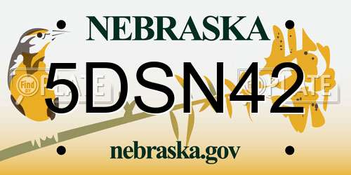 5DSN42 Nebraska License Plate