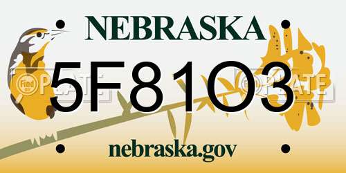 5F81O3 Nebraska License Plate