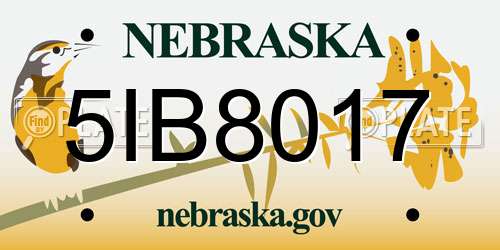 5IB8017 Nebraska License Plate