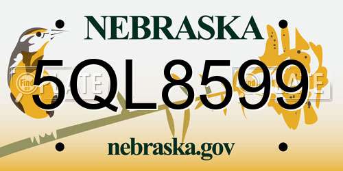 5QL8599 Nebraska License Plate