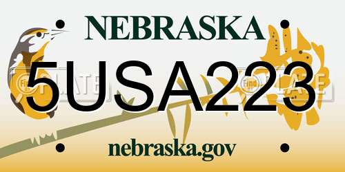 5USA223 Nebraska License Plate
