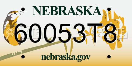 60053T8 Nebraska License Plate