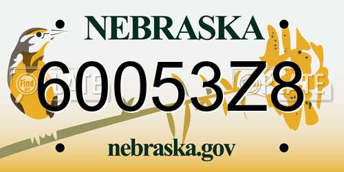 60053Z8 Nebraska License Plate