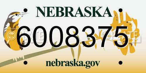 6008375 Nebraska License Plate