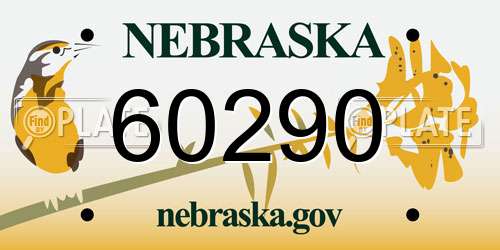 60290 Nebraska License Plate