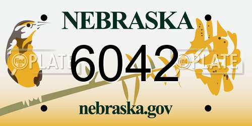 6042 Nebraska License Plate