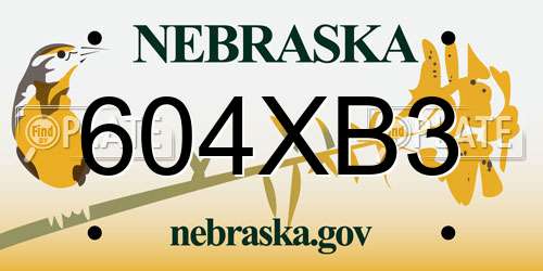 604XB3 Nebraska License Plate