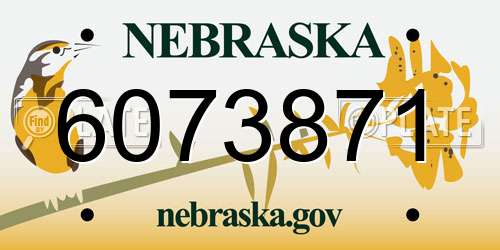 6073871 Nebraska License Plate