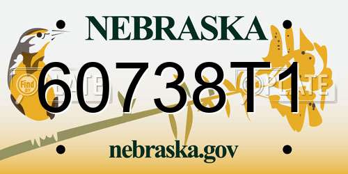 60738T1 Nebraska License Plate