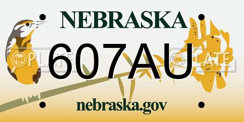607AU Nebraska License Plate