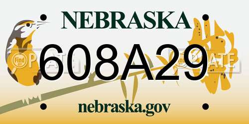 608A29 Nebraska License Plate