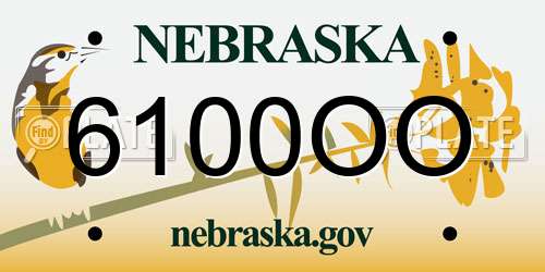 6100OO Nebraska License Plate