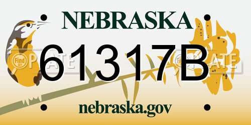 61317B Nebraska License Plate