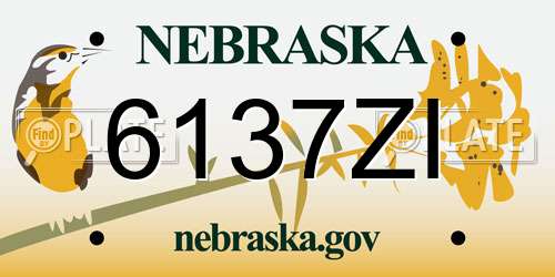 6137ZI Nebraska License Plate