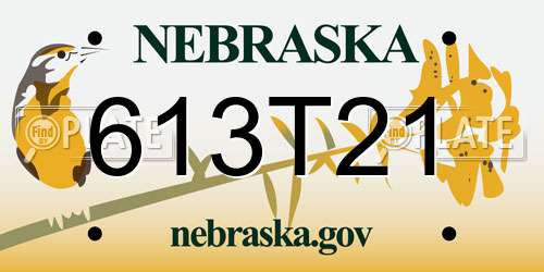 613T21 Nebraska License Plate