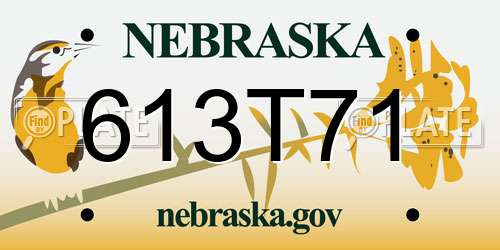 613T71 Nebraska License Plate