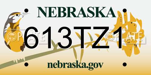613TZ1 Nebraska License Plate