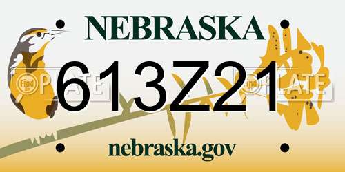 613Z21 Nebraska License Plate