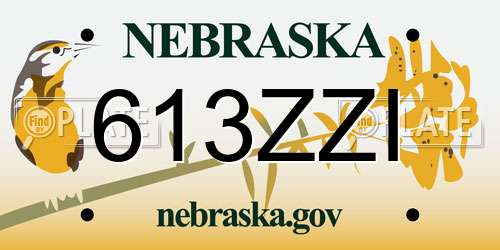 613ZZI Nebraska License Plate