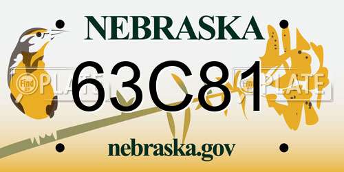 63C81 Nebraska License Plate