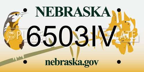 6503IV Nebraska License Plate