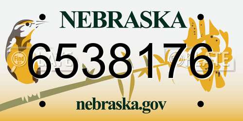 6538176 Nebraska License Plate