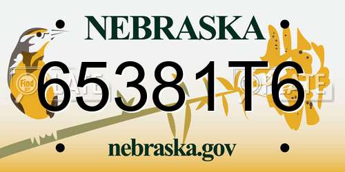 65381T6 Nebraska License Plate