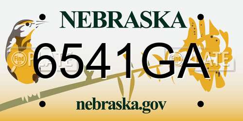 6541GA Nebraska License Plate