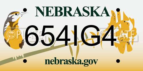 654IG4 Nebraska License Plate