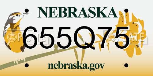 655Q75 Nebraska License Plate